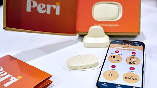 Dose of uncertainty: Experts wary of AI health gadgets at CES