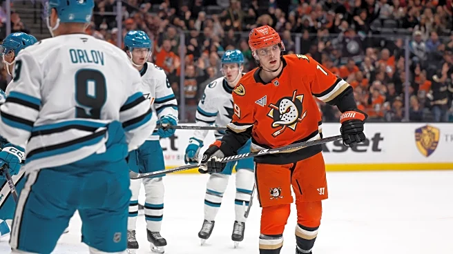 Ducks' Troy Terry misses 1st game of season with upper-body injury