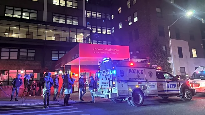 Man wielding sharp object fatally shot by police in Brooklyn hospital