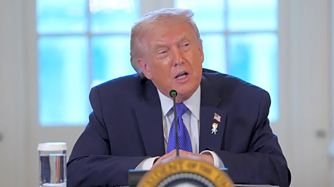 Trump promises oil executives 'total safety' if they invest in Venezuelan after Maduro ouster