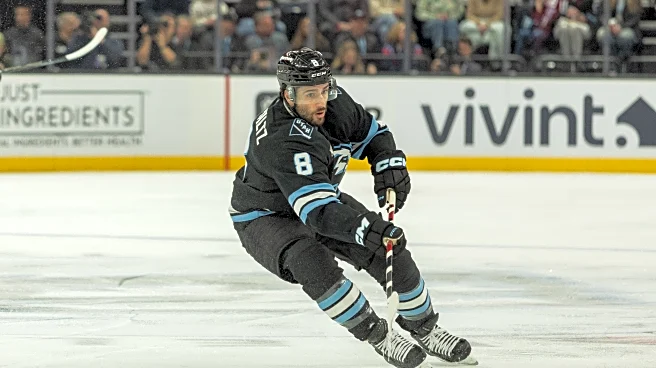 Nick Schmaltz scores twice to power Mammoth past the Blues, 4-2