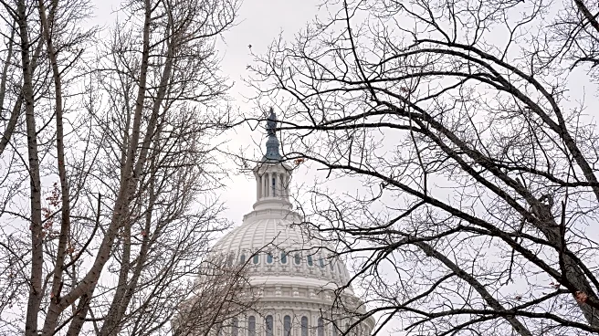 Congress is debating the possible consequences for ICE and even Noem after Renee Good's killing