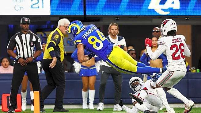 Stafford's late TD pass to Parkinson lifts the Rams past the Panthers 34-31 in the wild-card round