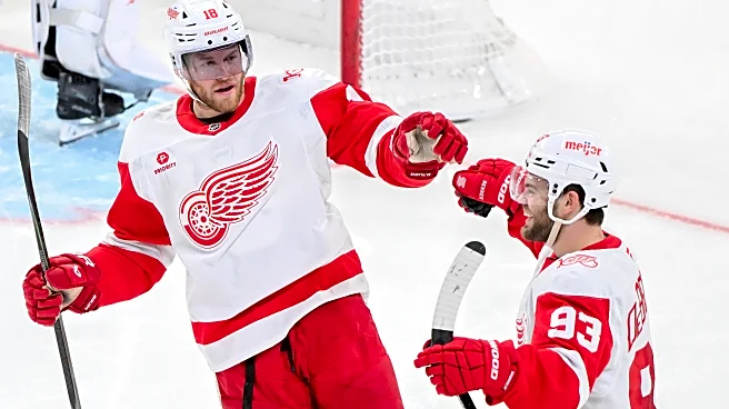 DeBrincat's goal, 2 assists lead Red Wings over Canadiens 4-0