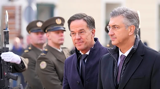 How NATO works at a time of Trump's Greenland threats