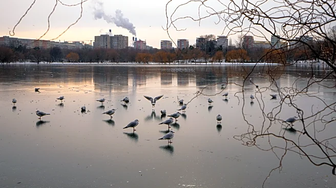 Freezing rain and ice disrupt travel across central and eastern Europe