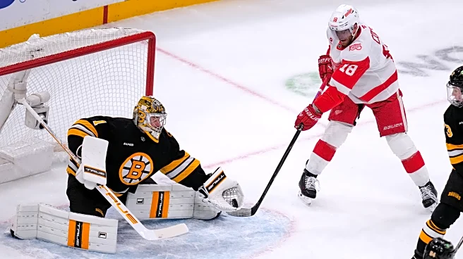Swayman stops 24 shots for 1st shutout of season as Bruins beat Red Wings 3-0