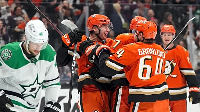 Lukas Dostal has 24 saves as Ducks beat Stars 3-1 to snap nine-game skid