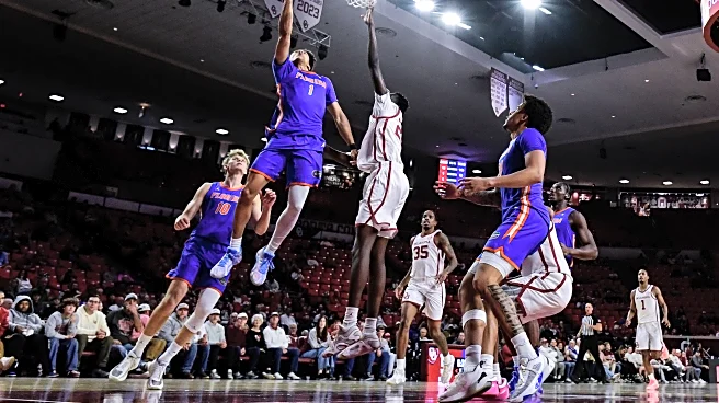 Division I cabinet changes transfer portal windows for basketball and some other sports