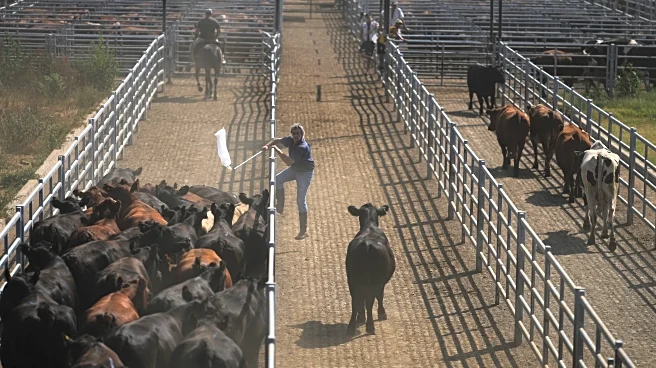 Forget tariff wars: The EU and Mercosur build one of the world's biggest free-trade zones