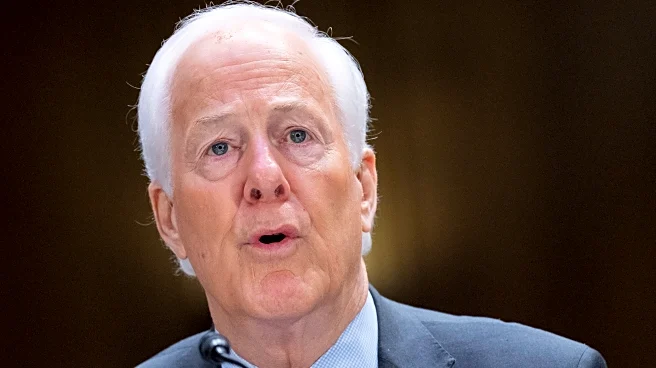 When Texas Republican John Cornyn became a senator, Bush was president. Will he survive Trump's GOP?