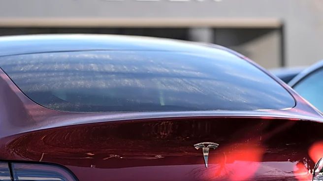 Tesla granted more time in US investigation into its self-driving tech