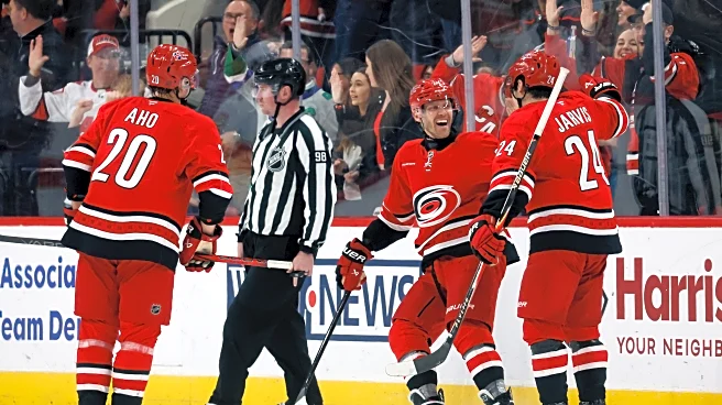 Ehlers' hat trick leads Hurricanes to 9-1 rout of Panthers