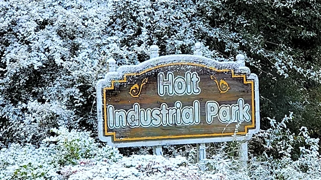 Small part of Sunshine State becomes Snowy State as Florida gets snow for 2nd year in a row