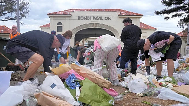 Australia's Parliament passes gun laws, and debates anti-hate speech bill after Sydney attack