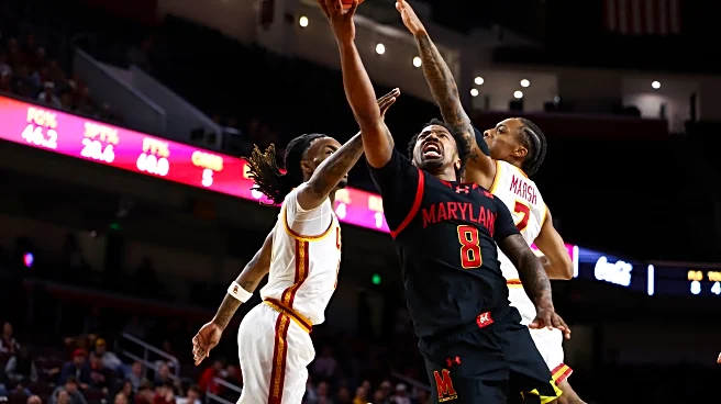 Maryland's David Coit named AP men's college basketball player of the week