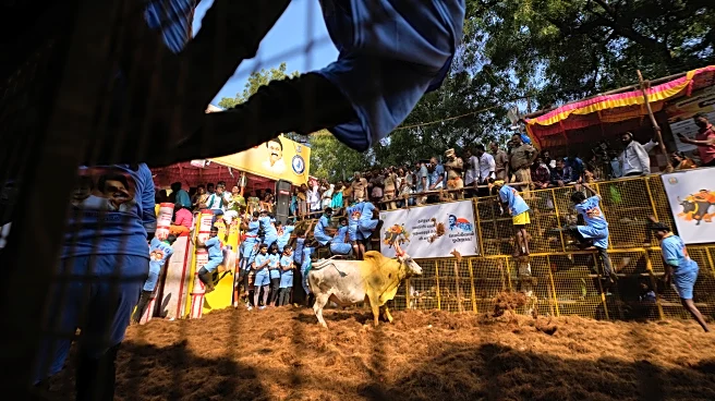 PHOTO ESSAY: Centuries-old bull festival in southern India remains a popular draw