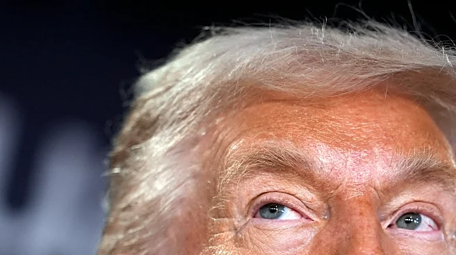 Stock market cuts through to Trump on Greenland in a way allies' messages failed to resonate