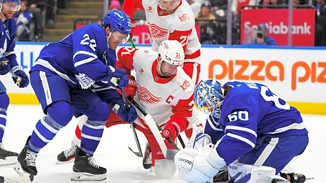 Larkin scores winner, Red Wings top Maple Leafs 2-1 in overtime