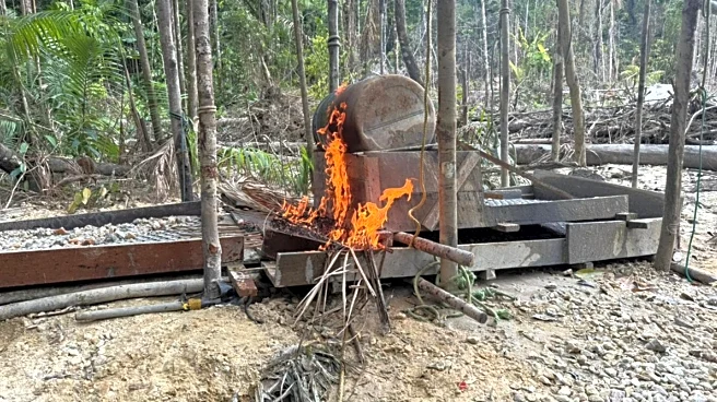 Interpol-backed police make nearly 200 arrests in Amazon region gold mining sweep