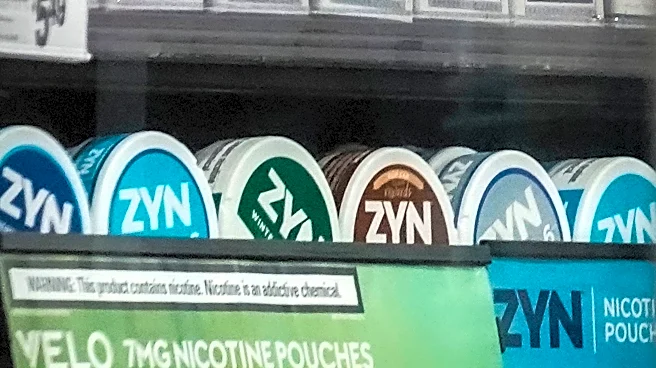 What to know about FDA's review of new Zyn advertising proposal