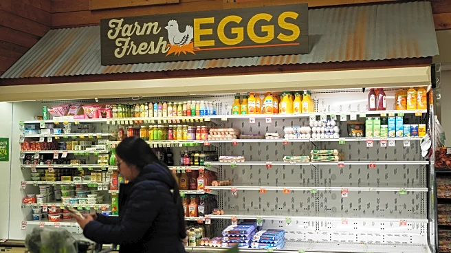 Huge US winter storm to bring snow, sleet and ice from Texas to Boston