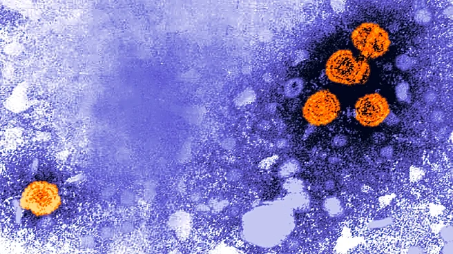 Guinea-Bissau suspends Trump-backed hepatitis B vaccine study for ethical review