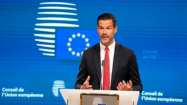 Failed Afghan asylum seekers need to go back home, Sweden's migration minister urges