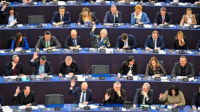 EU Commission indicates it's ready to implement Mercosur trade deal despite parliament vote to delay