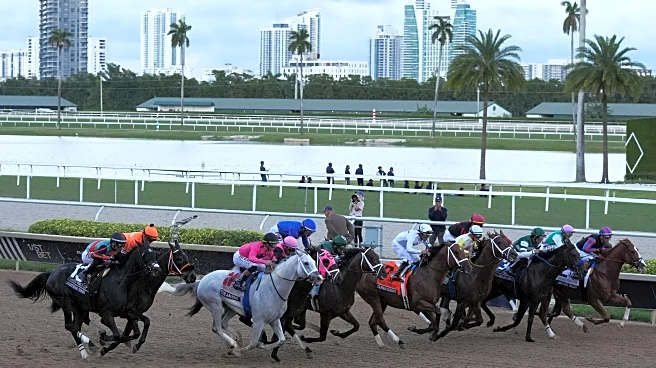 Skippylongstocking rallies in stretch, wins $3 million Pegasus World Cup at Gulfstream