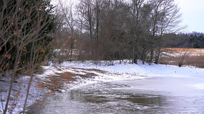 3 young brothers in Texas die after falling through icy pond during winter storm