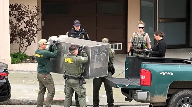 Mountain lion roams posh San Francisco neighborhood before being captured