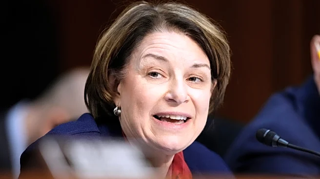 Escape from Washington? Senators look to start new chapters as governors