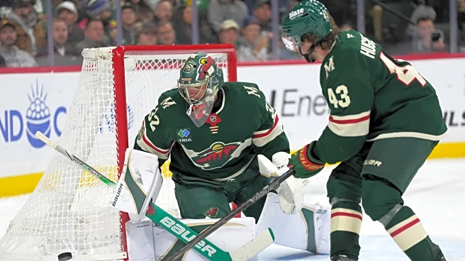 Gustavsson makes 29 saves as the Wild race to an early lead and beat the Flames 4-1