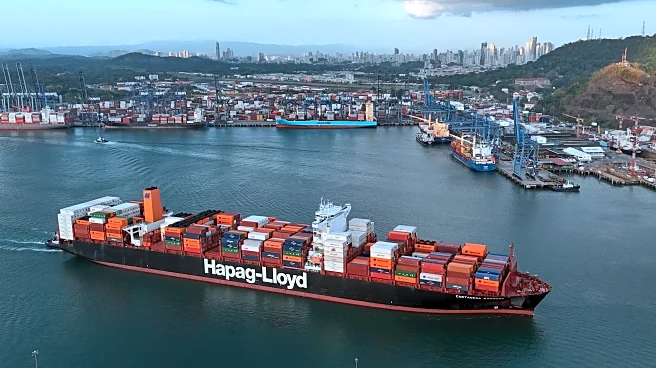 Panama Canal ports will keep operating after court finds concession unconstitutional, president says