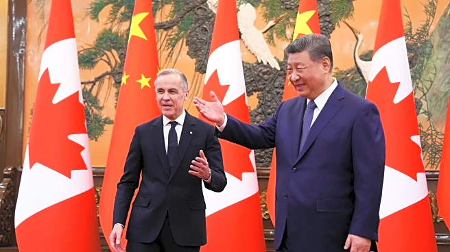 Pushed by Trump, US allies are resetting relations with China