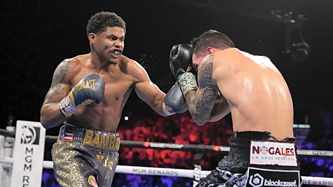 Madison Square Garden warns that anyone fighting can be 'banned for life' after brawls at event