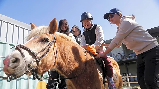 Children with disabilities find joy and support through horse therapy in Taiwan