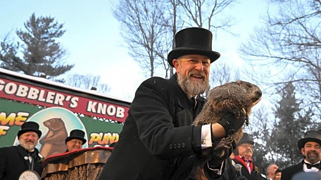 What to know about Groundhog Day traditions and Punxsutawney Phil