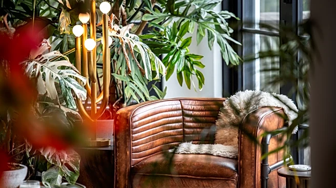 How to create a calming 'nature nook' with indoor plants. Advice from Hilton Carter