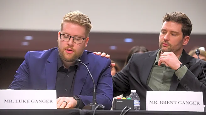 Brothers of Renee Good, woman killed by immigration officer, call for action in Congress