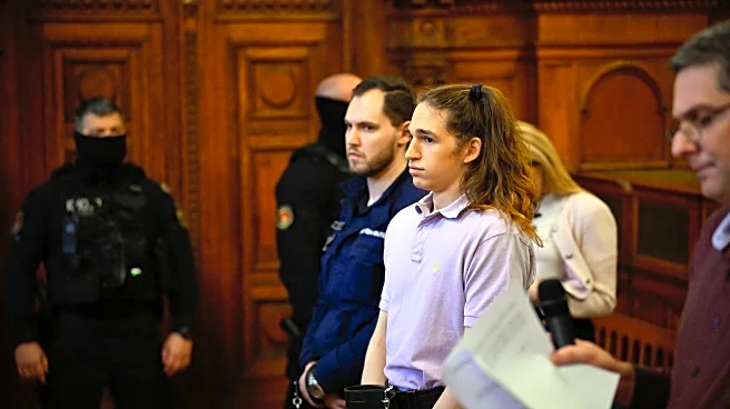 Hungarian court sentences German anti-fascist activist to 8 years for far-right rally assaults