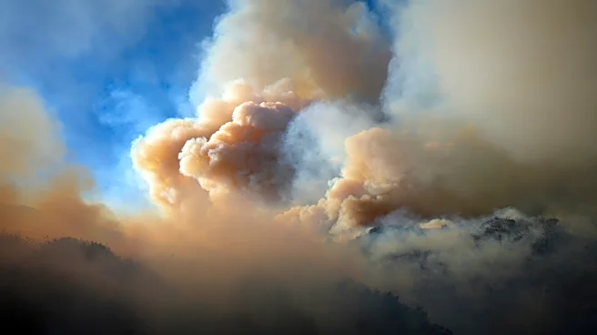 Study ties particle pollution from wildfire smoke to 24,100 US deaths per year