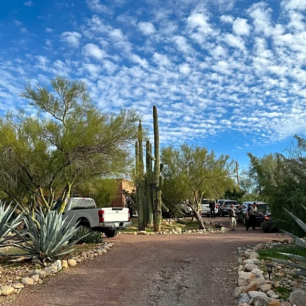 Nancy Guthrie disappeared from an Arizona neighborhood that is dark at night, quiet and spread out