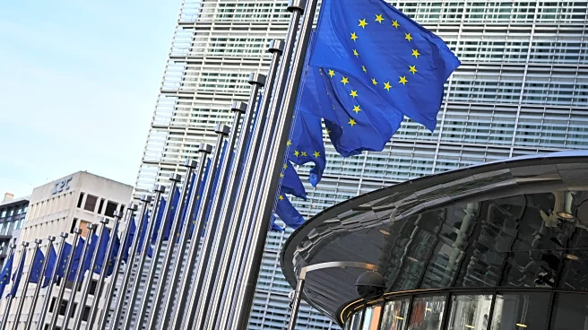 Europe's central bank maintains interest rate with economic growth resilient