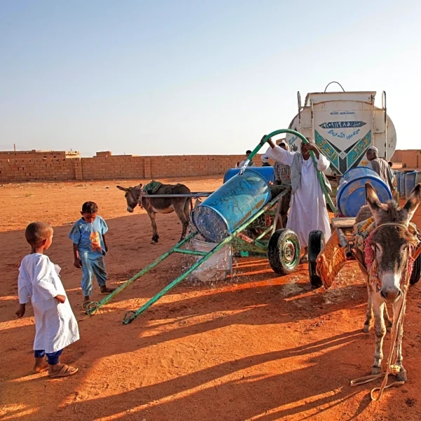 Famine is threatening more of war-torn Sudan’s Darfur region as an attack in the south kills 22