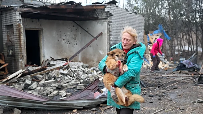 Zelenskyy says Ukrainian air force needs to improve as Russian drone barrages take a toll