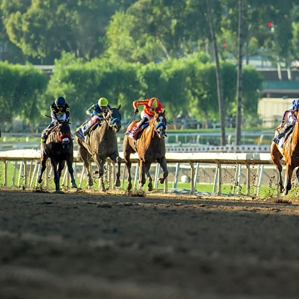 Plutarch wins Robert Lewis Stakes to give Baffert 8th straight victory in the race for 3-year-olds