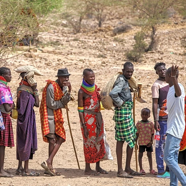 Animals dying in Kenya as drought conditions leave many hungry