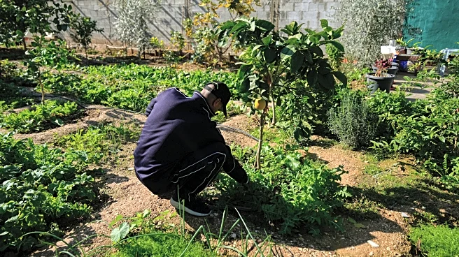 Misery deepens in the West Bank as Israel provides few Palestinian work permits